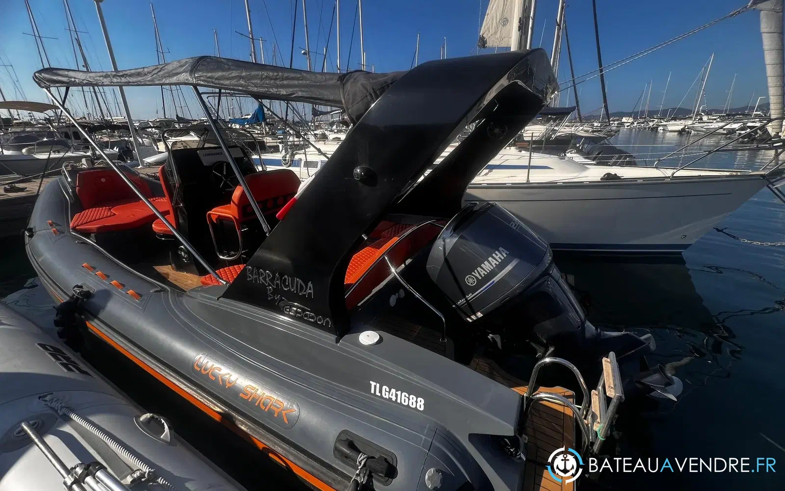slider 14 Azaiez BARRACUDA ESPADON 695