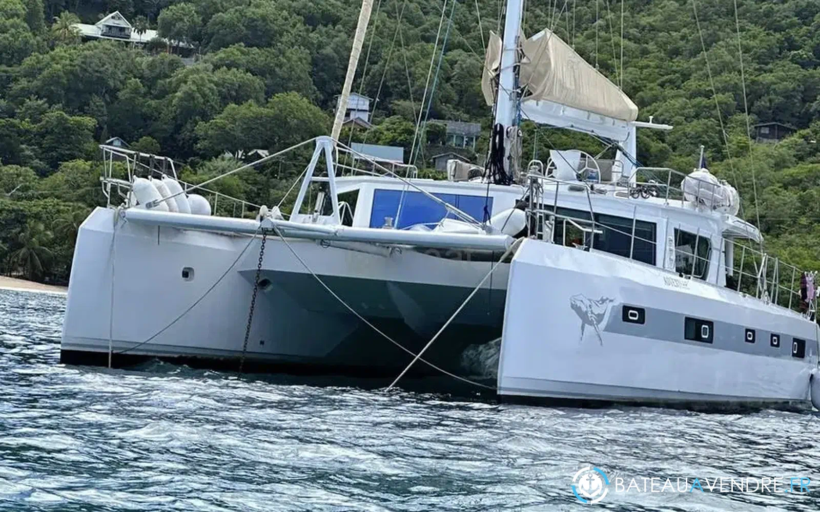 slider 3 Squalt Marine International CK64