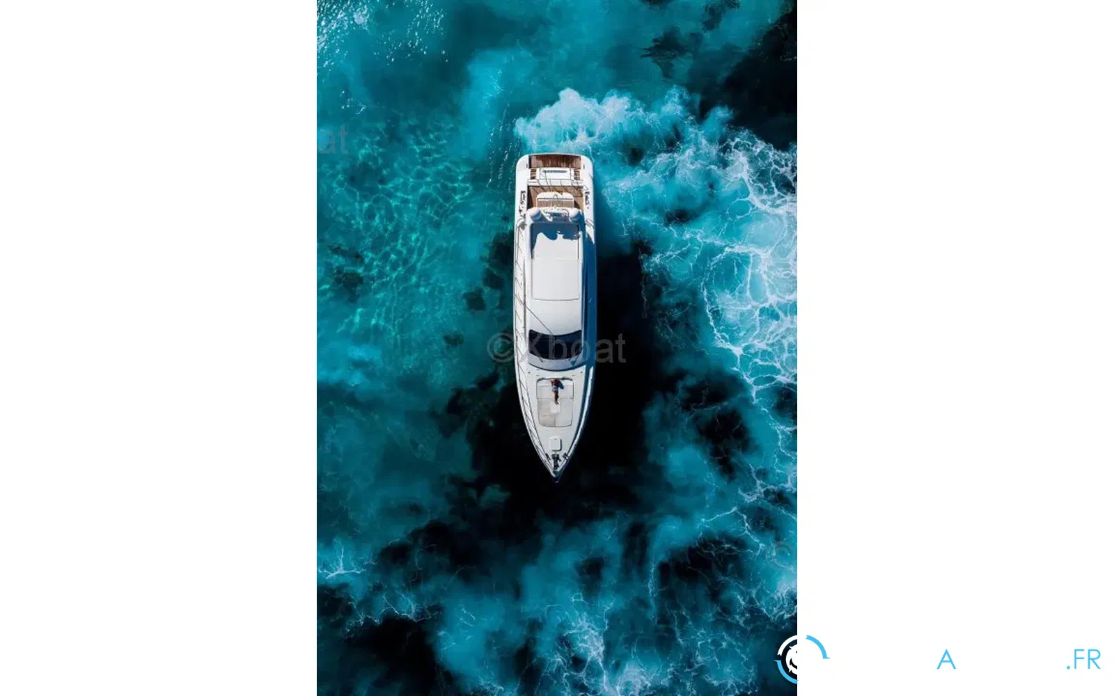 slider 2 Mangusta 72