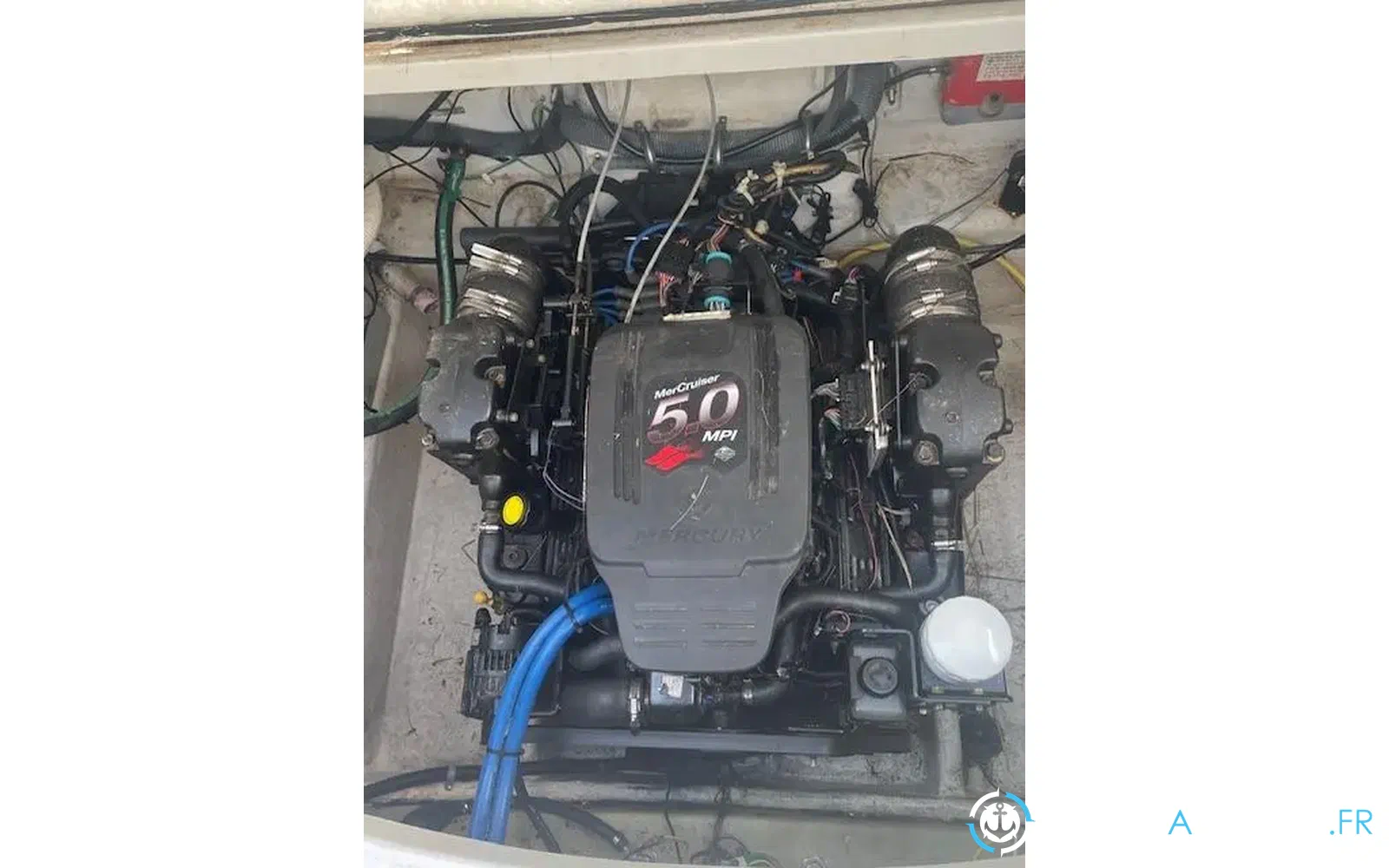 slider 16 Bayliner 265