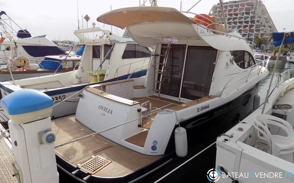 Sessa Marine Dorado 36 photo 2