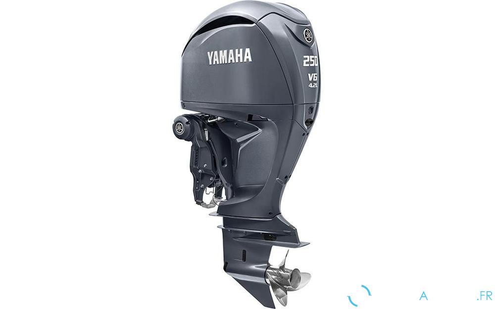 YAMAHA F250NSB photo de présentation