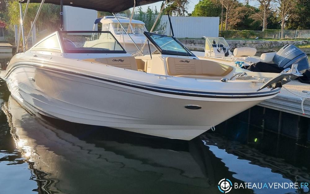 Sea Ray SPX 190 OB photo de présentation