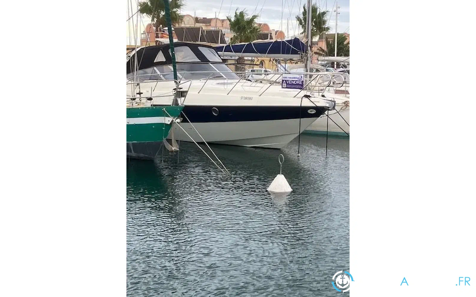 slider 2 Cranchi Endurance 41