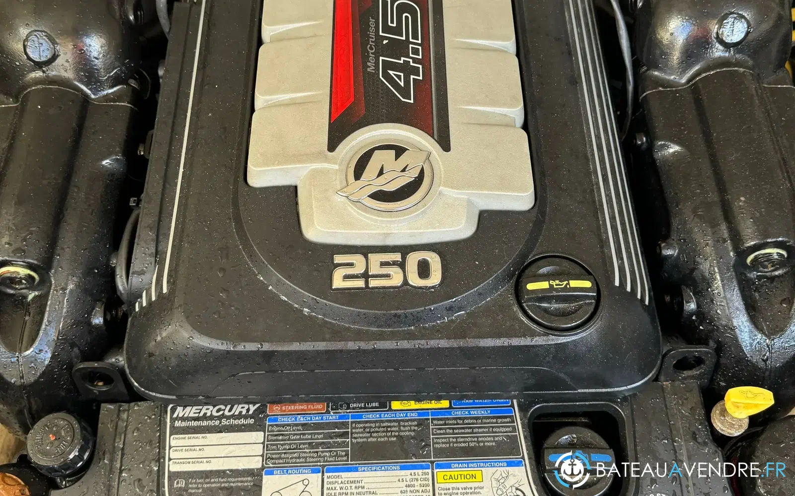 slider 4 Bayliner Avanti 8