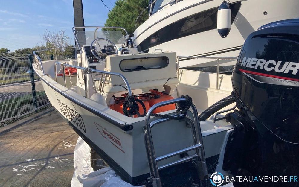 Boston Whaler 17 Montauk photo 3