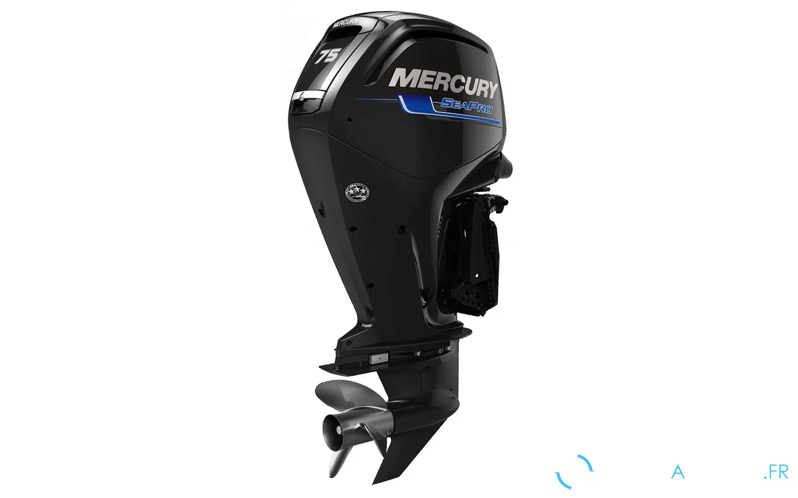 slider 1 F 75 EFI SEAPRO