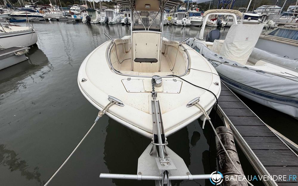 Scout Boat 262 Sport Fish photo 3