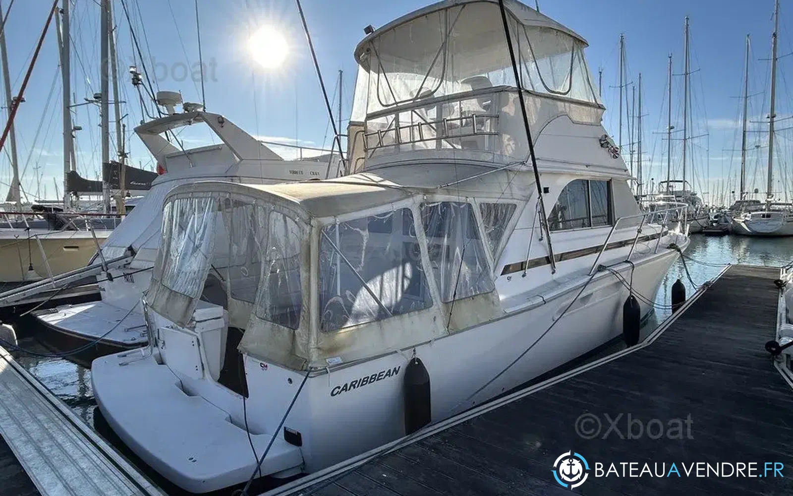 slider 4 Caribbean 40