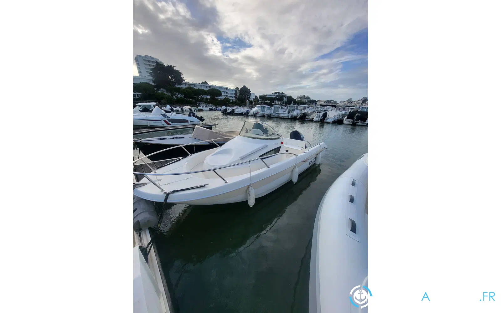 slider 1 Pro Marine Belone 550
