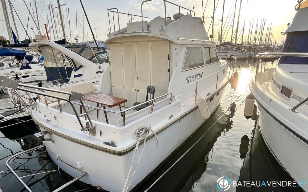 Amerglass Atlantique 32 photo de présentation