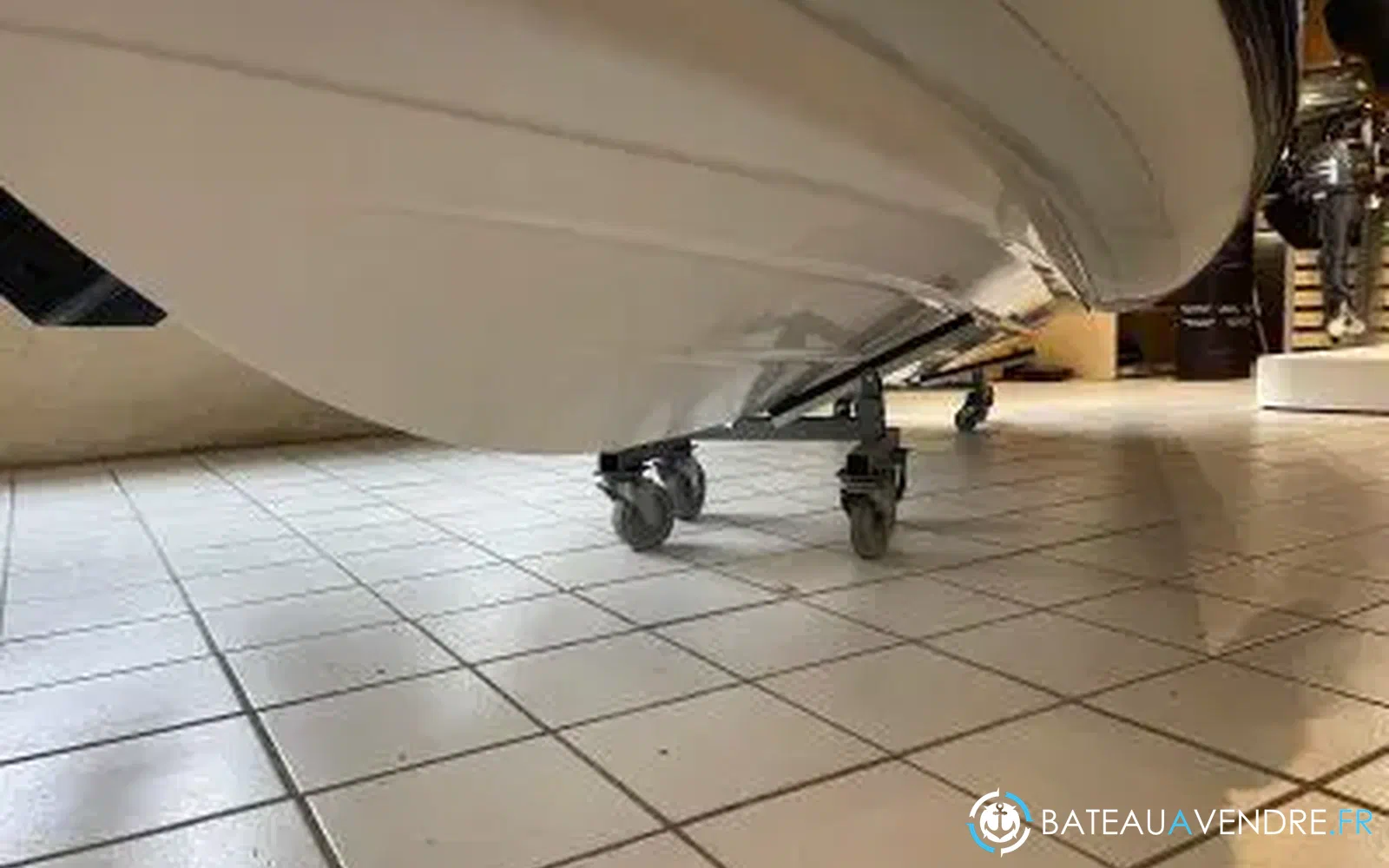 slider 10 Tarpon 590 Lx
