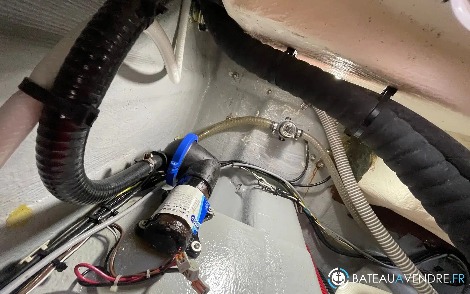slider 40 Quicksilver 905 Pilothouse