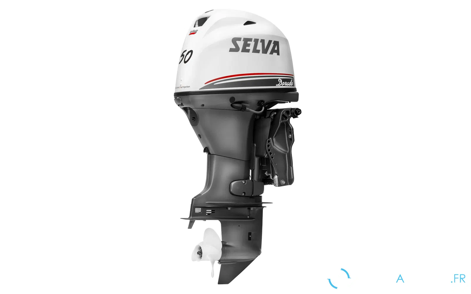 slider 0 Moteur Selva 50cv Dorado