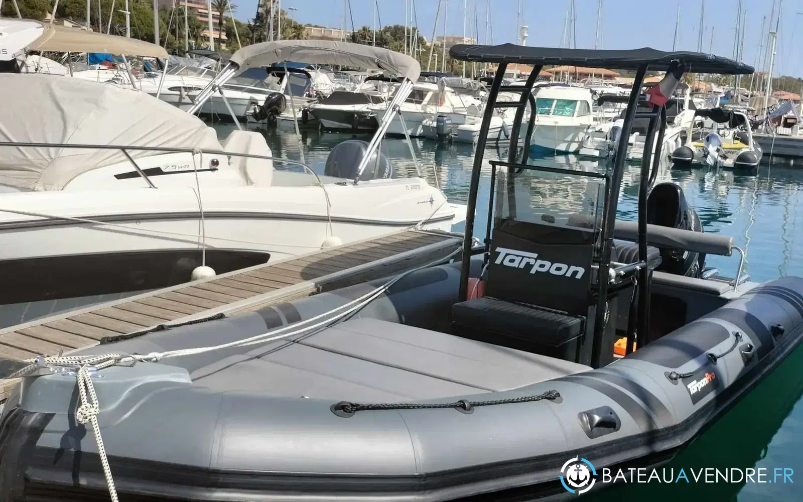 slider 1 Tarpon DV 62