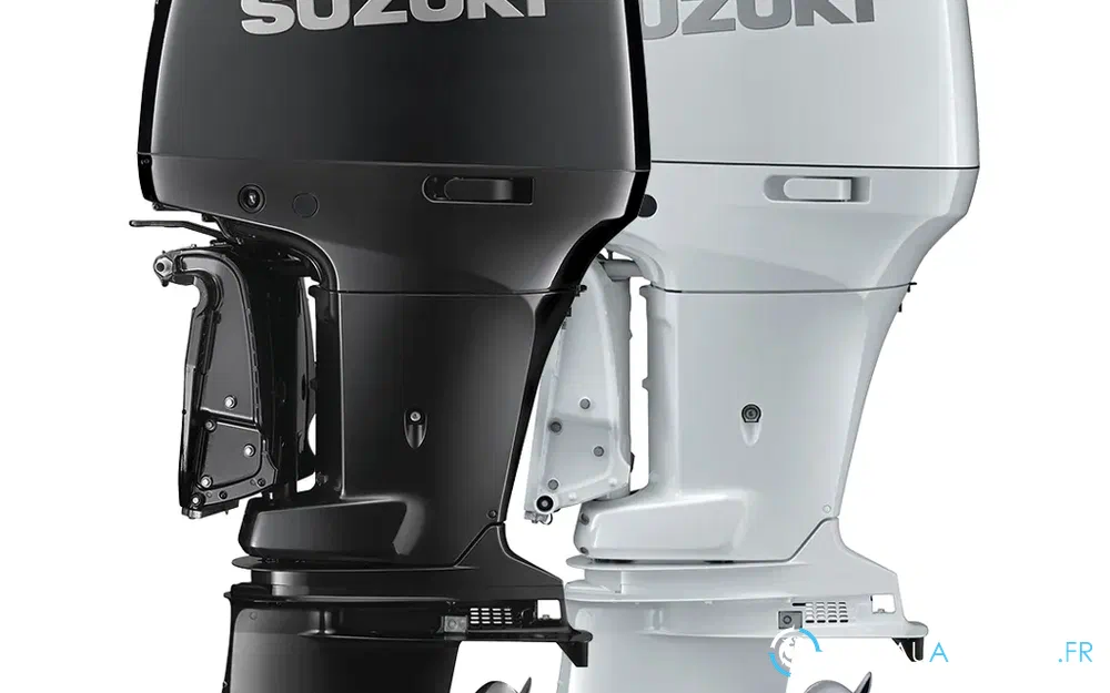 DF250AP  photo de présentation