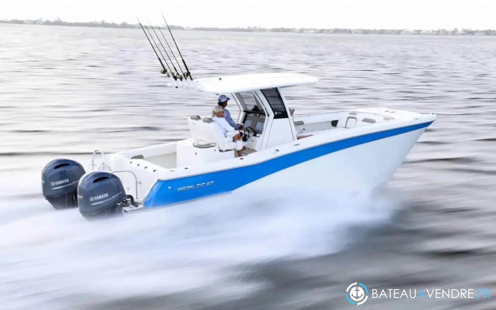 slider 10 World Cat 280 CC-X