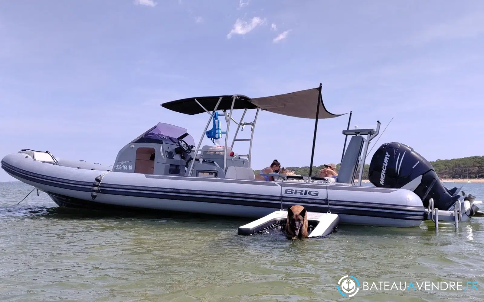 slider 2 Brig Eagle 10