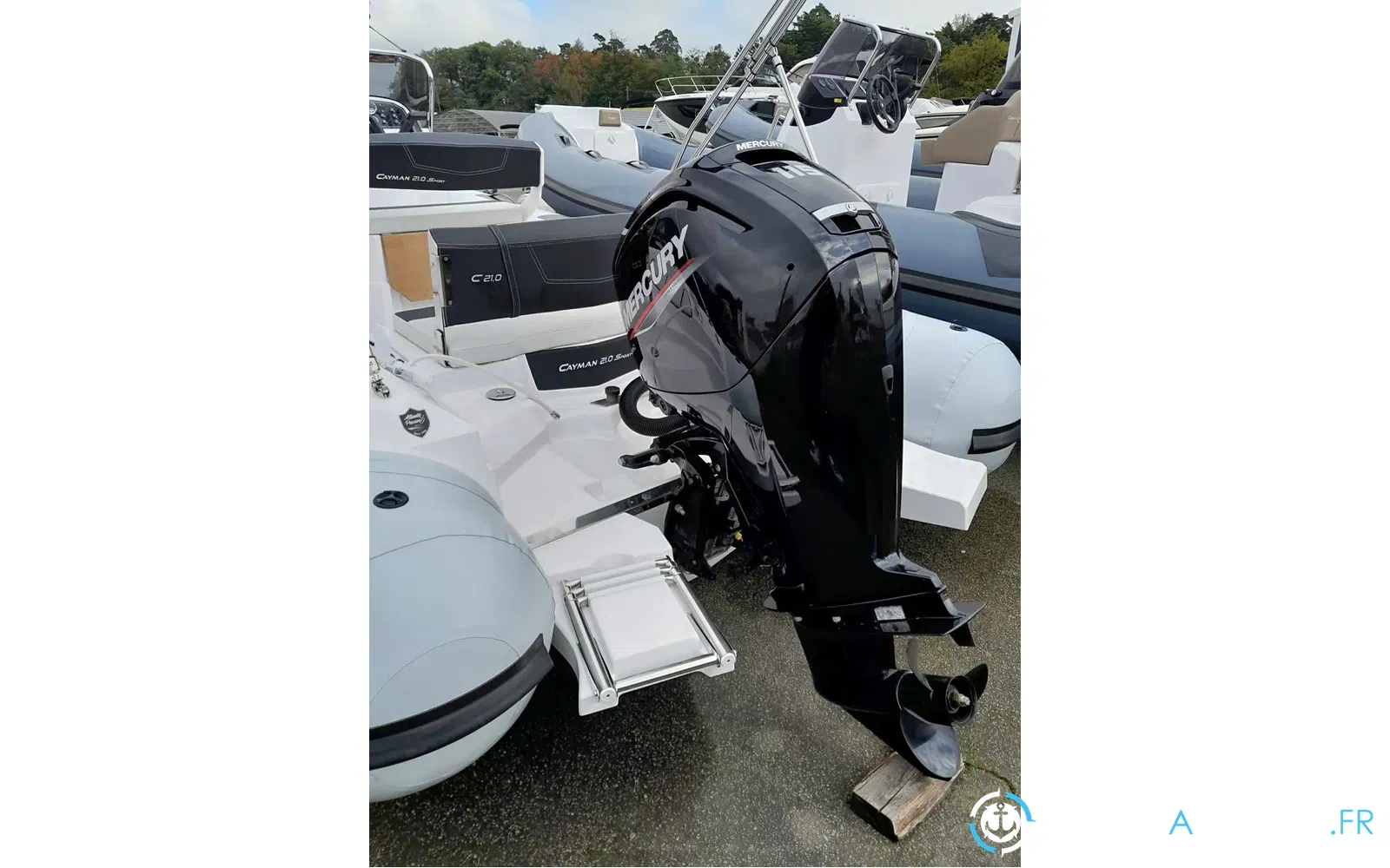 slider 5 Ranieri Cayman 21 Sport