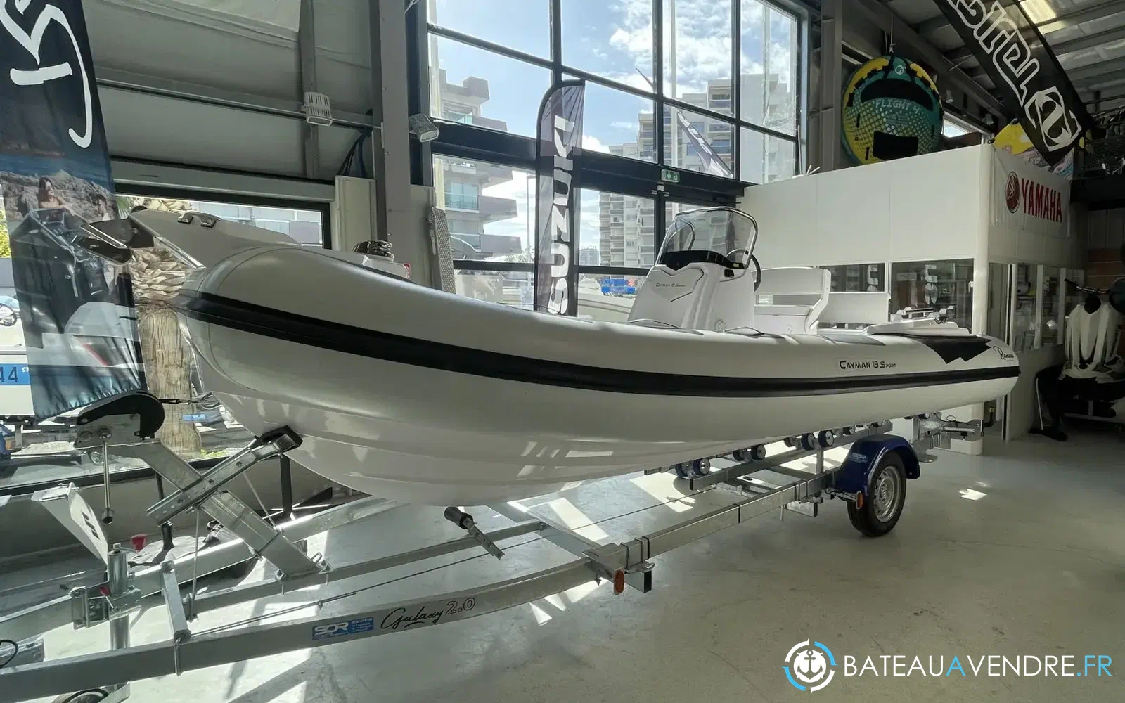 slider 1 Ranieri Cayman 19 S