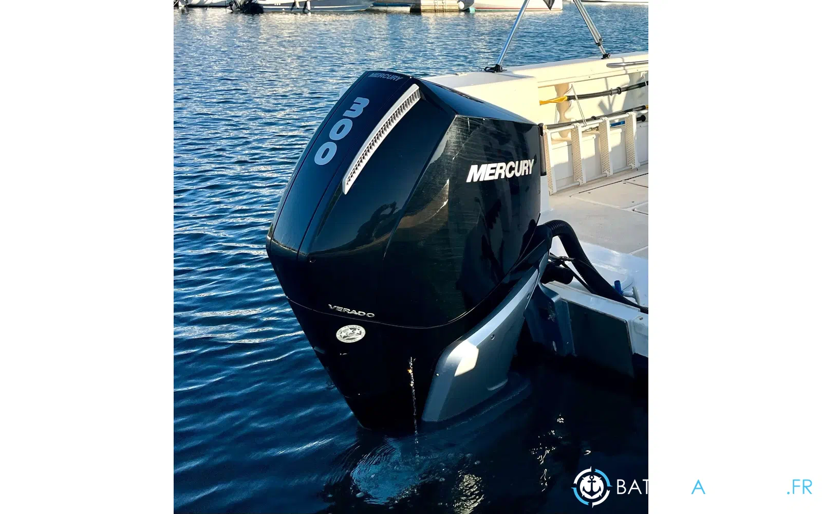 slider 5 Seaswirl STRIPPER 755