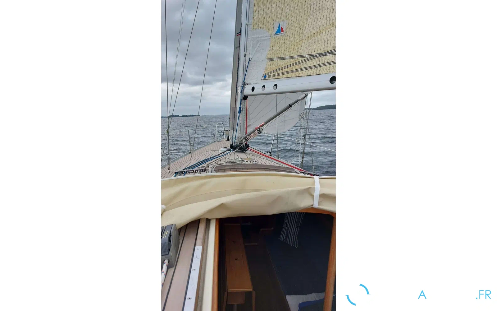 slider 8 Luffe 37