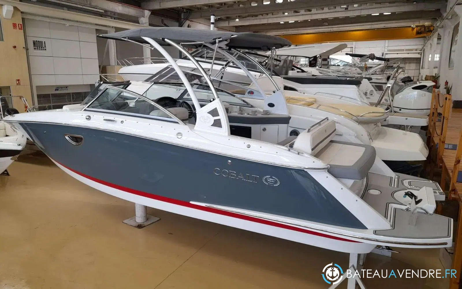 slider 3 Cobalt 25 SC