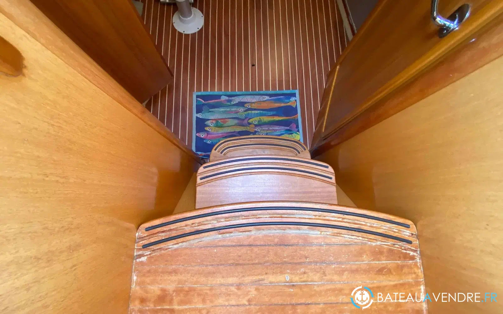 slider 27 Bavaria Sport 38