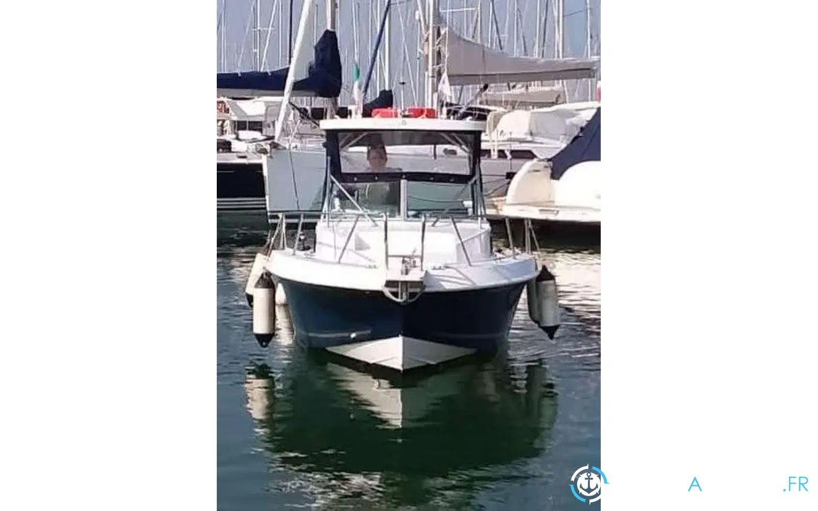 slider 11 Chris Craft Sea Hawk 215