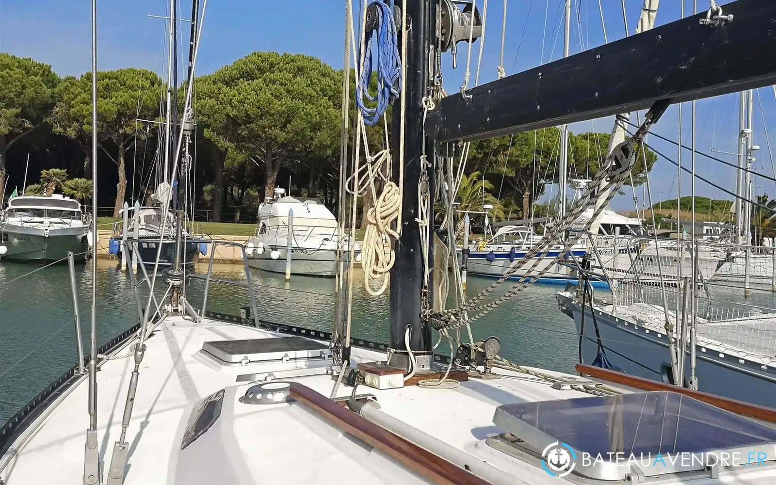 slider 10 Power Marine Manta Koala 34