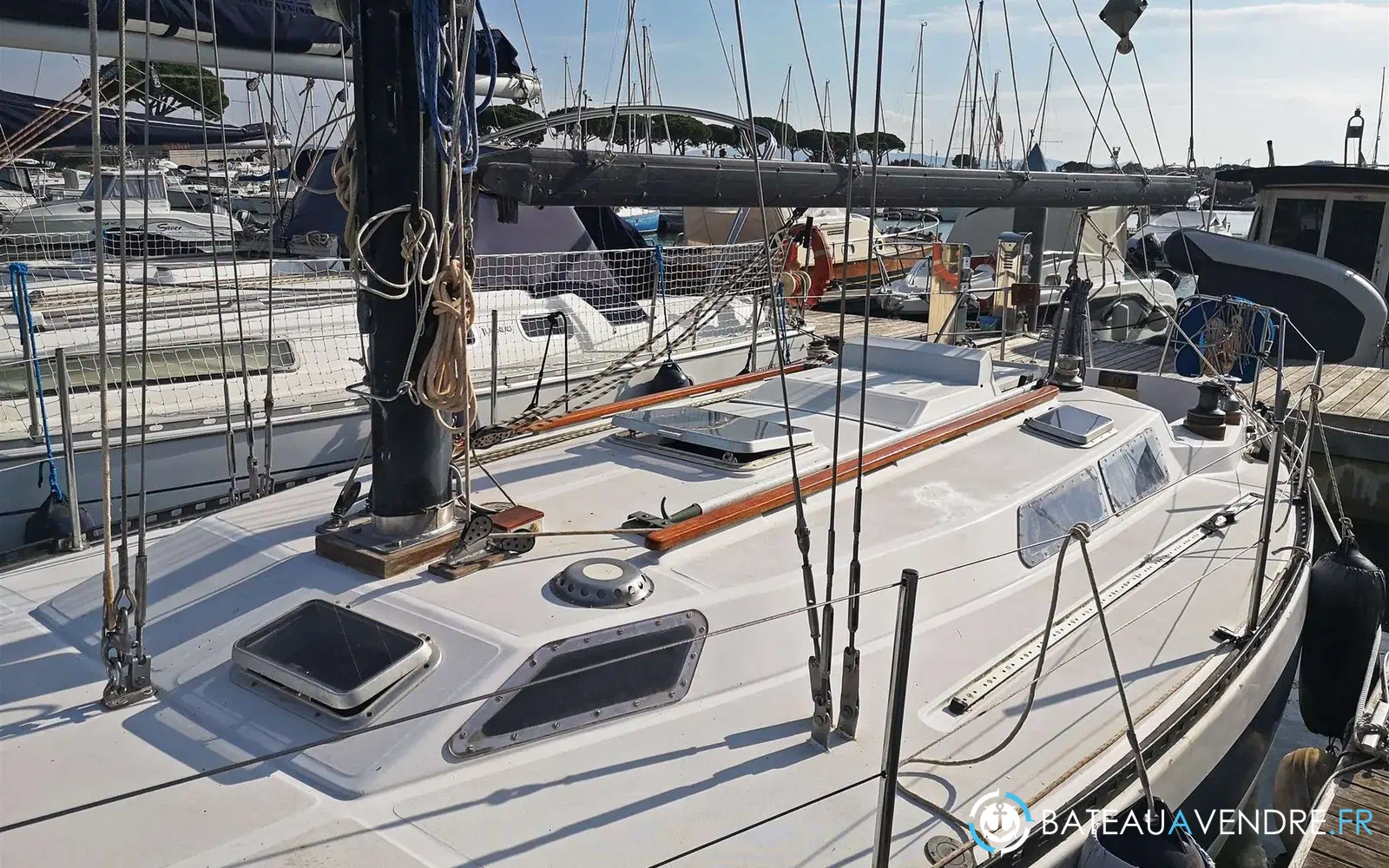 slider 11 Power Marine Manta Koala 34