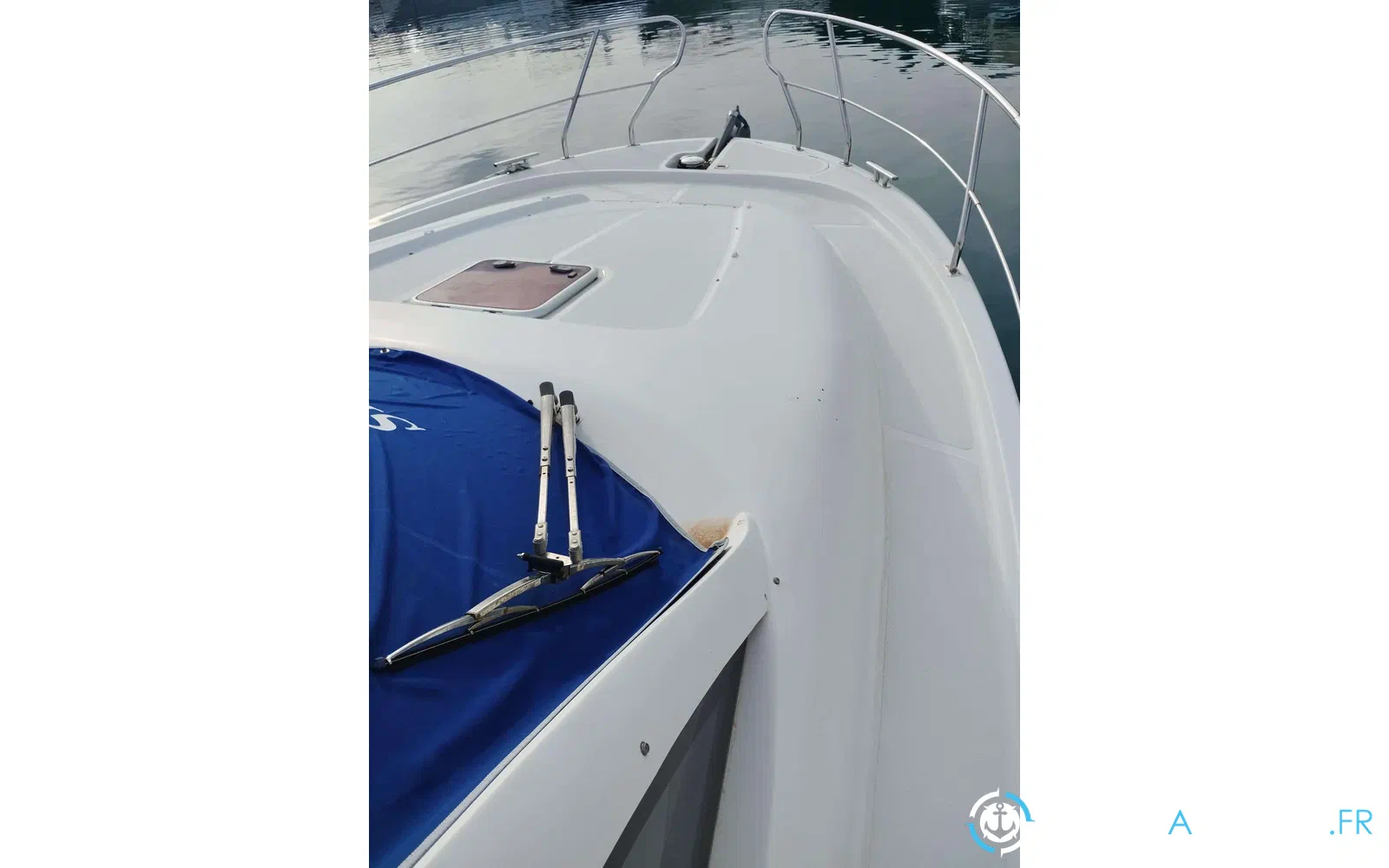 slider 19 Starfisher 34