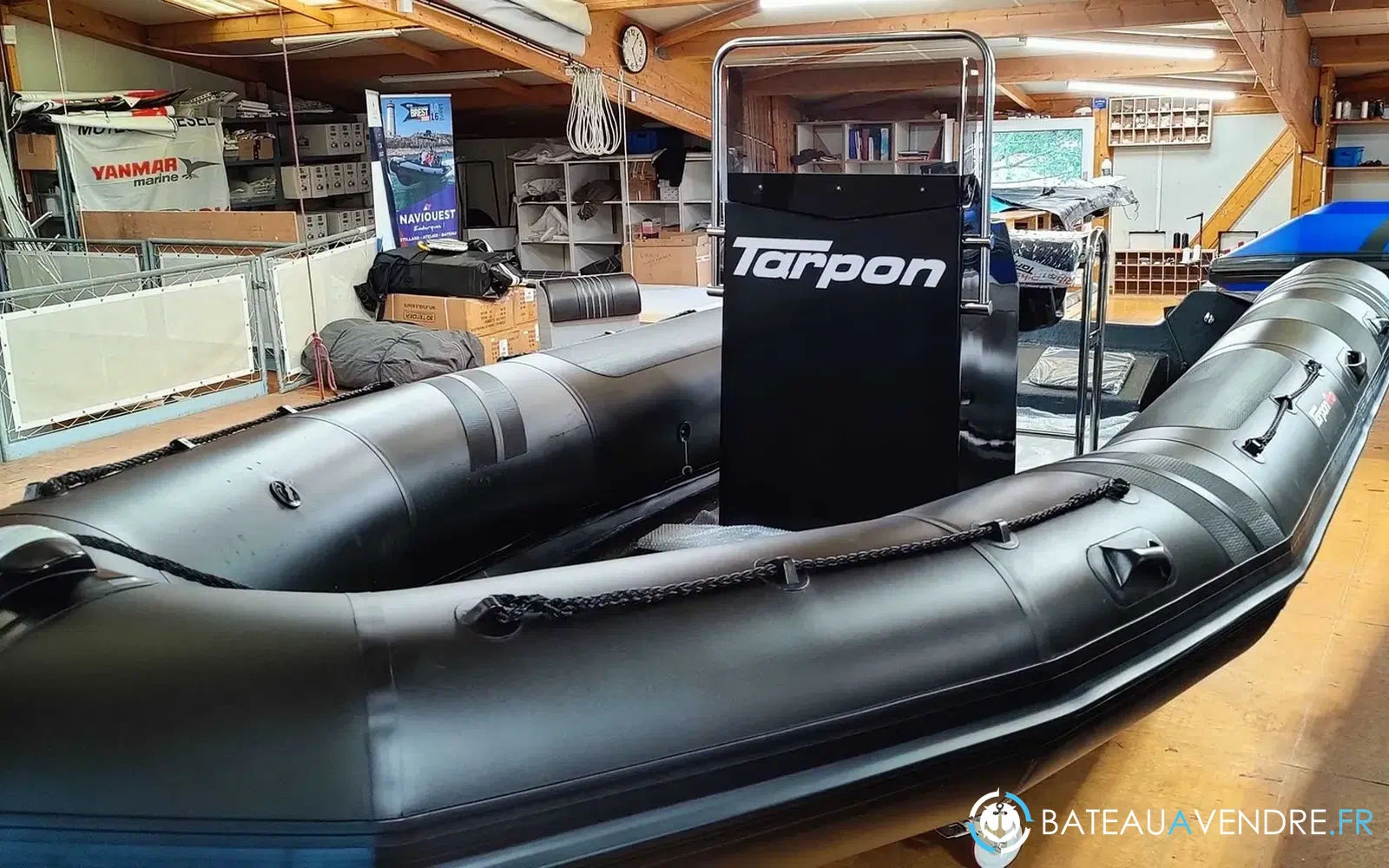 slider 0 Tarpon AD 60