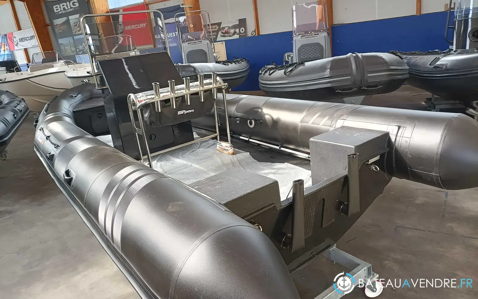 slider 2 Tarpon DV 65