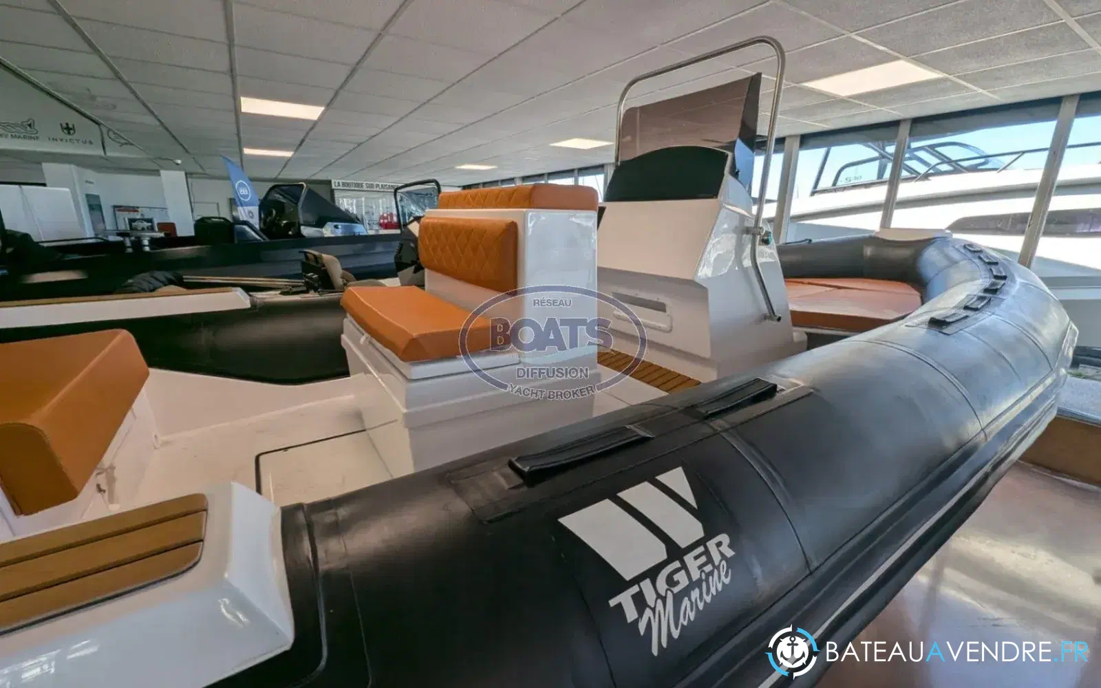 slider 1 Tiger Marine Tiger 650 Open