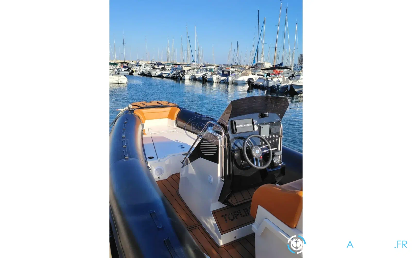 slider 1 Tiger Marine Top Line 850