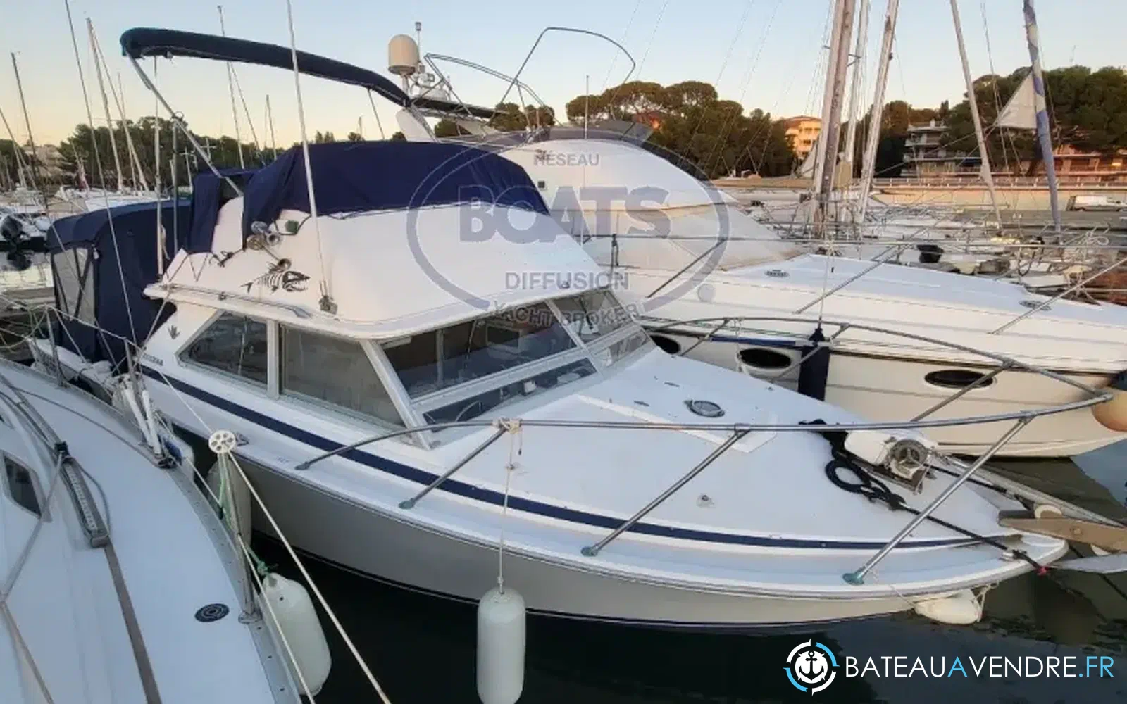 slider 2 Bertram 28 Flybridge
