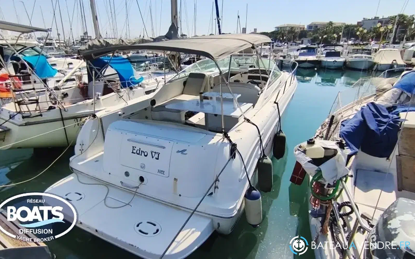 slider 0 Sea Ray Amberjack 290