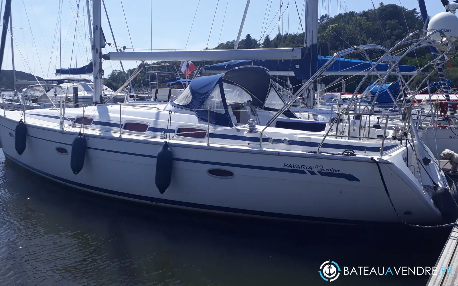 slider 1 Bavaria 42 cruiser