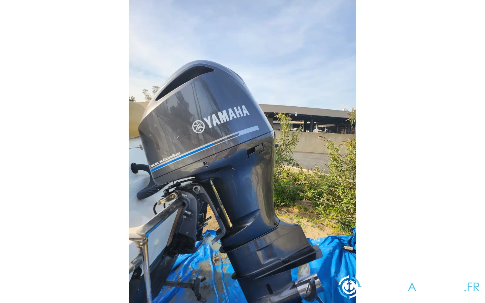 slider 3 Sessa Marine Key Largo 26