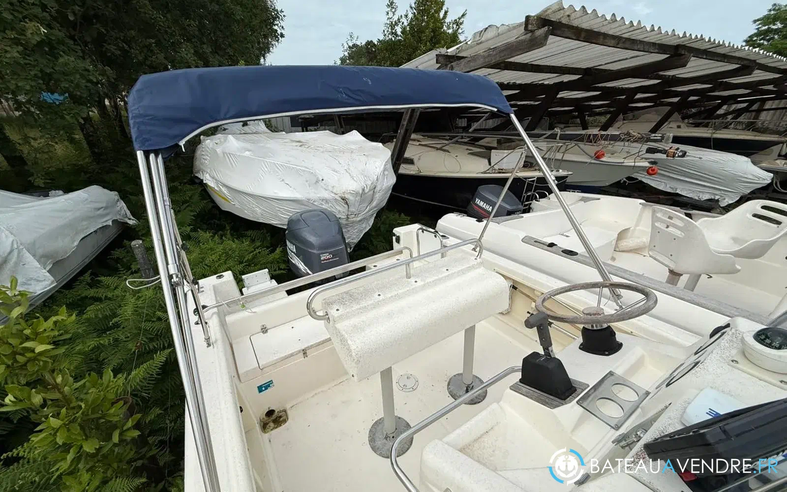 slider 11 Kelt White Shark 225