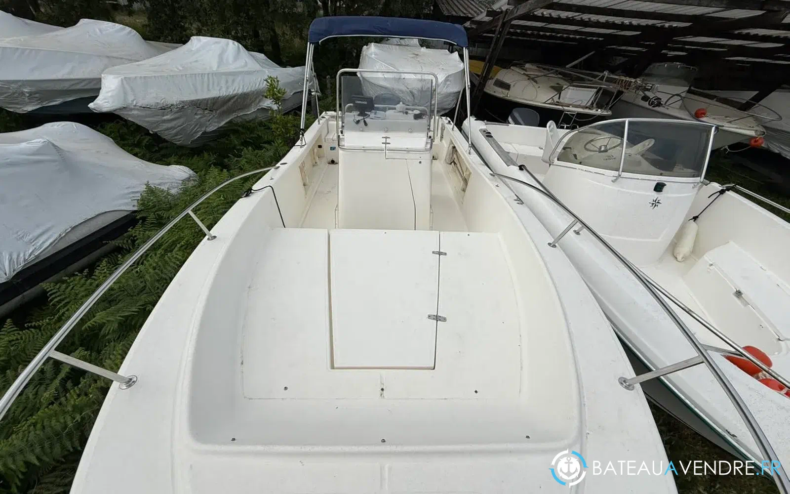slider 13 Kelt White Shark 225