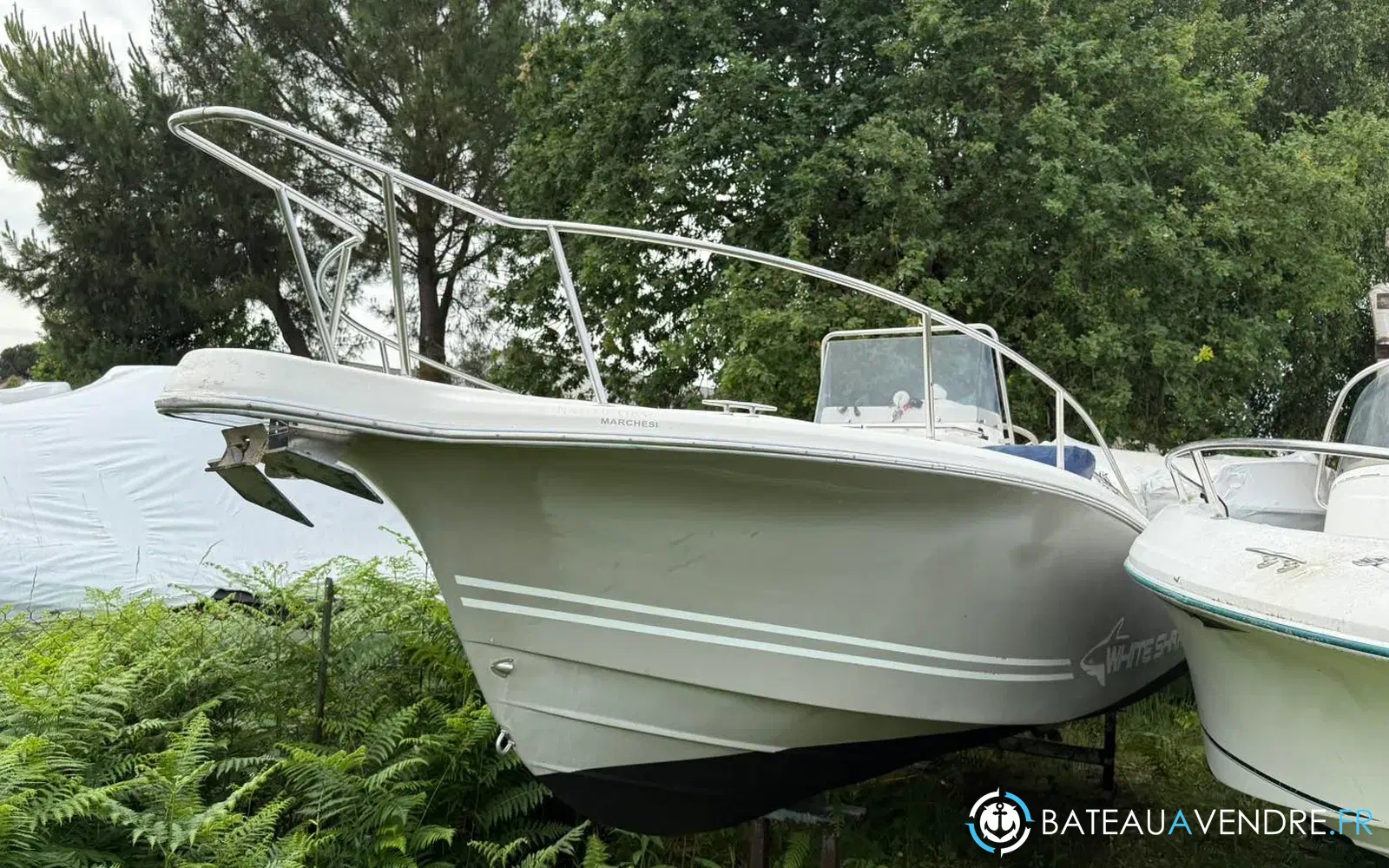 slider 15 Kelt White Shark 225