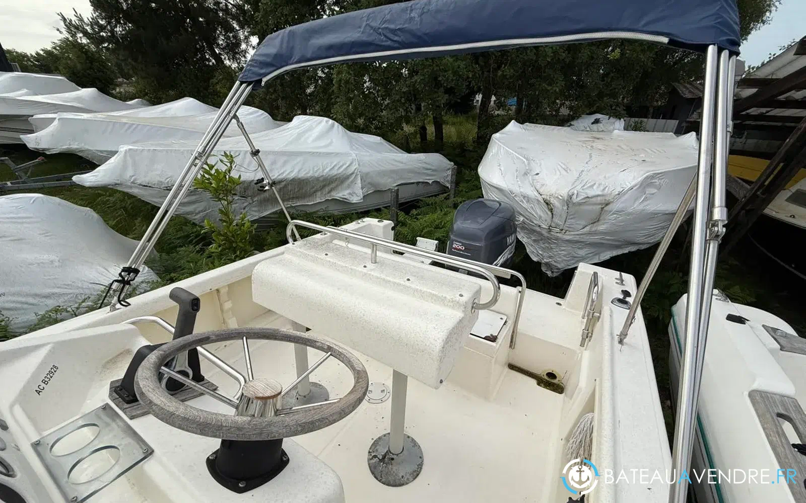 slider 9 Kelt White Shark 225