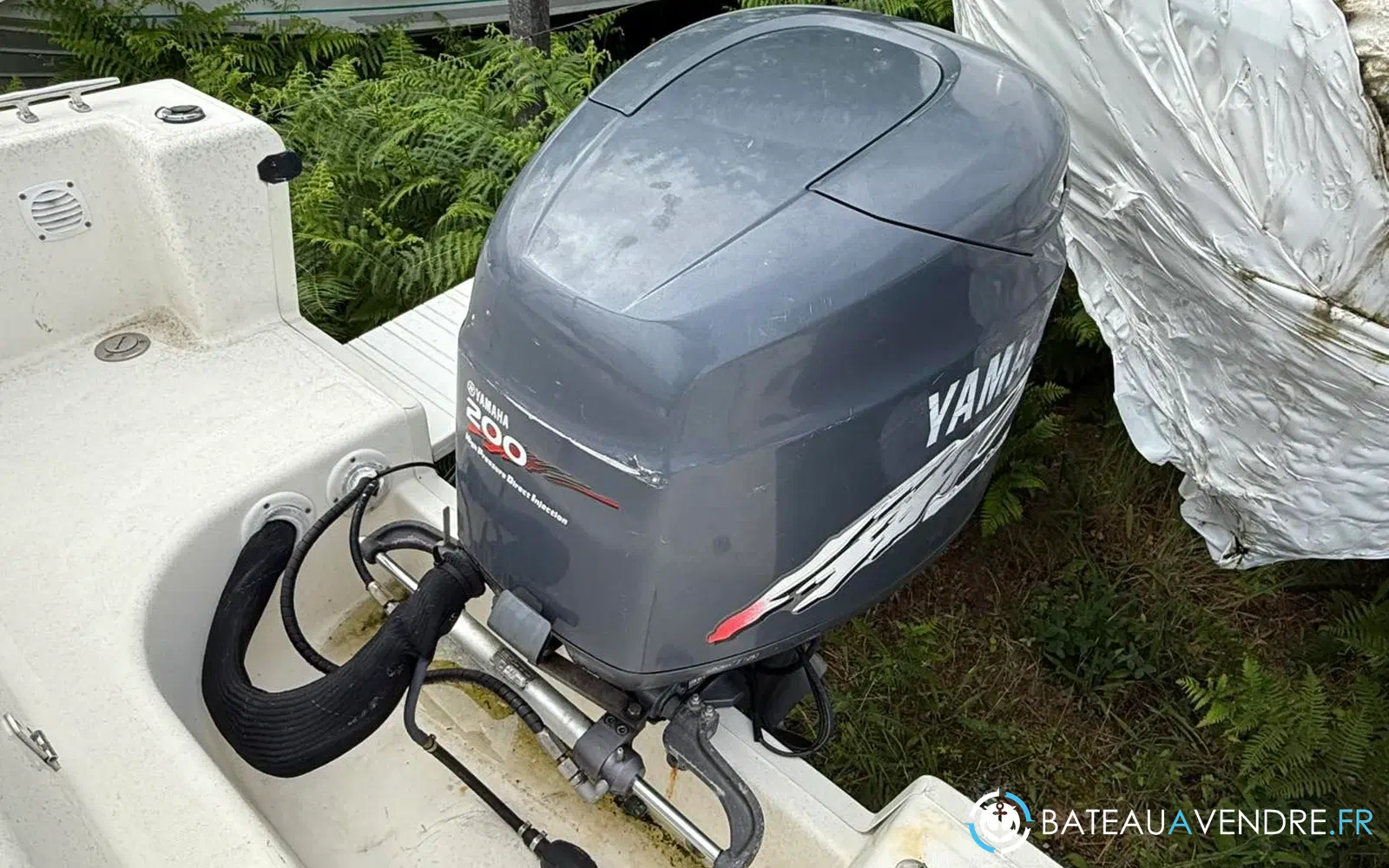slider 21 Kelt White Shark 225