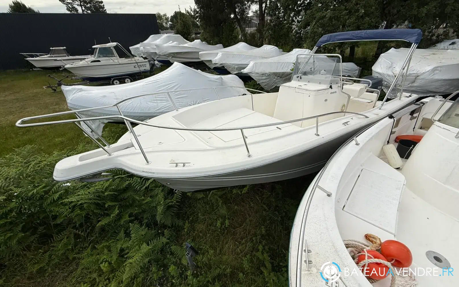 slider 5 Kelt White Shark 225