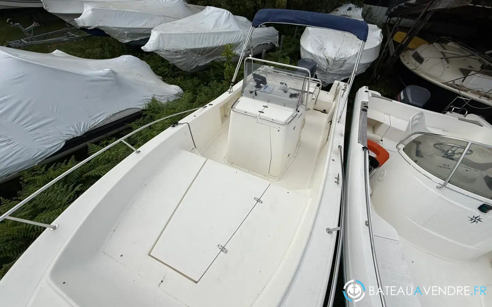 slider 8 Kelt White Shark 225