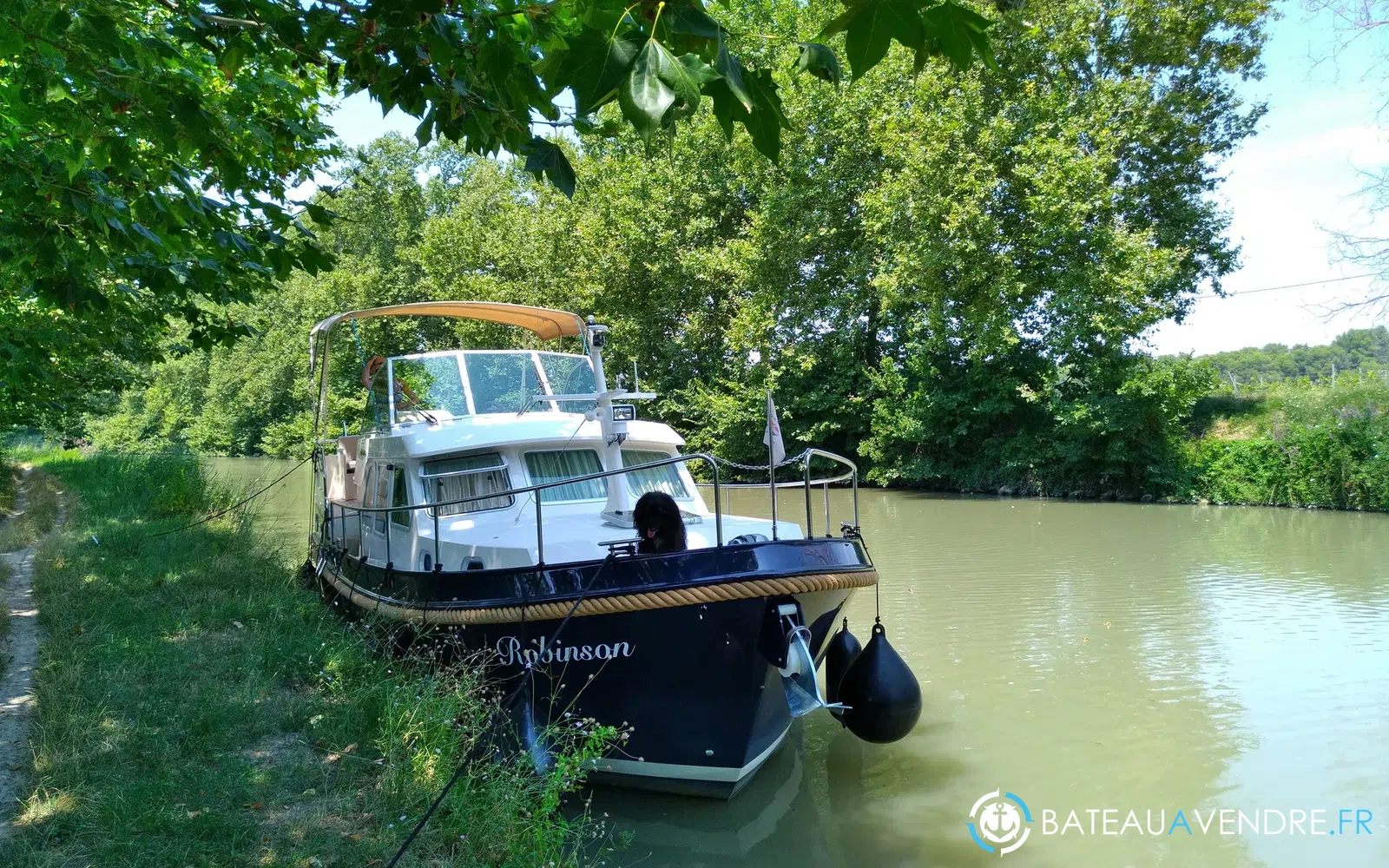 slider 42 Linssen Grand Sturdy 35