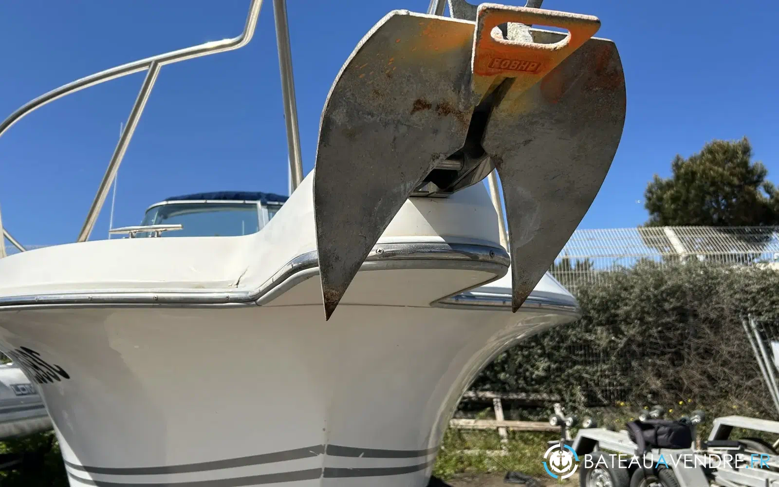slider 7 Kelt White Shark 226