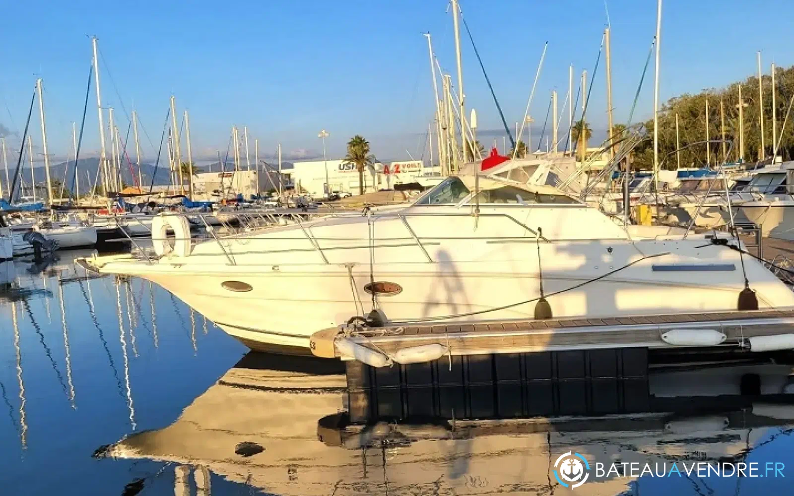 slider 3 Cruisers Rogue 2670